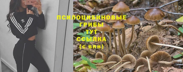 винт Алексеевка