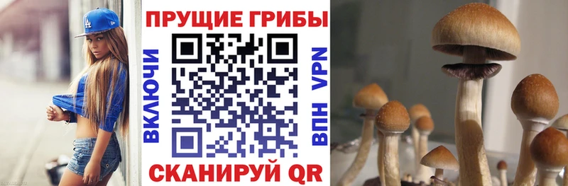 Галлюциногенные грибы прущие грибы дарк нет клад Любань
